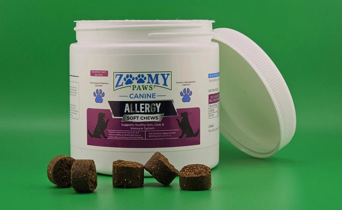 Allergy and Immune Dog Chews ZoomyPaws